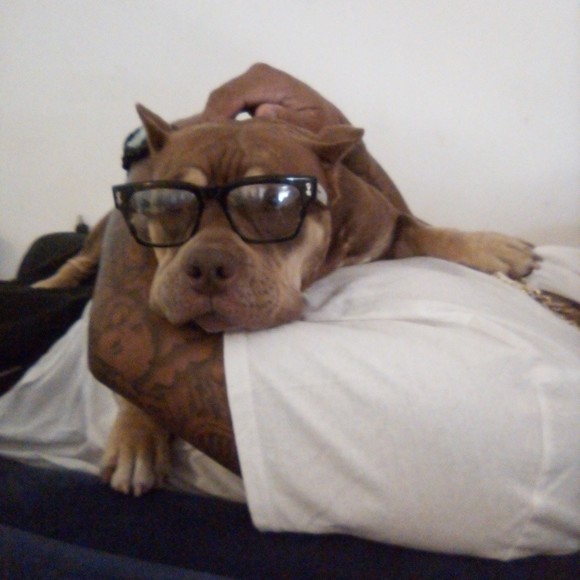 baaybeeluvbug